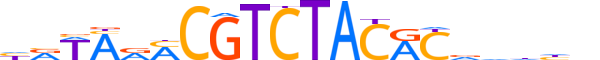 ZSC29.H12INVITRO.1.M.C motif logo (ZSCAN29 gene, ZSC29_HUMAN protein)