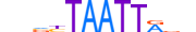 ALX3.H12INVITRO.0.SM.B motif logo (ALX3 gene, ALX3_HUMAN protein)