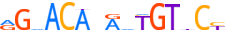 ANDR.H12INVITRO.0.P.B motif logo (AR gene, ANDR_HUMAN protein)