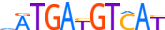ATF2.H12INVITRO.1.P.B motif logo (ATF2 gene, ATF2_HUMAN protein)