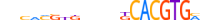 BHE40.H12INVITRO.1.S.C motif logo (BHLHE40 gene, BHE40_HUMAN protein)