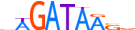GATA4.H12INVITRO.0.PSM.A motif logo (GATA4 gene, GATA4_HUMAN protein)