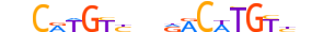 P73.H12INVITRO.0.PS.A motif logo (TP73 gene, P73_HUMAN protein)