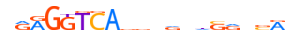 RARA.H12INVITRO.1.P.B motif logo (RARA gene, RARA_HUMAN protein)