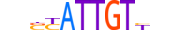 SOX3.H12INVITRO.0.PM.A motif logo (SOX3 gene, SOX3_HUMAN protein)