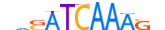 TCF7.H12INVITRO.0.PSM.A motif logo (TCF7 gene, TCF7_HUMAN protein)