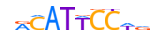 TEAD1.H12INVITRO.0.PSM.A motif logo (TEAD1 gene, TEAD1_HUMAN protein)