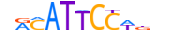 TEAD4.H12INVITRO.0.PS.A motif logo (TEAD4 gene, TEAD4_HUMAN protein)