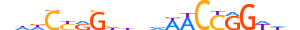 TFCP2.H12INVITRO.1.SM.B motif logo (TFCP2 gene, TFCP2_HUMAN protein)
