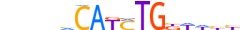 TWST1.H12INVITRO.1.P.D motif logo (TWIST1 gene, TWST1_HUMAN protein)