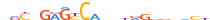 ZN554.H12INVITRO.0.P.D motif logo (ZNF554 gene, ZN554_HUMAN protein)