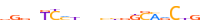 ZN563.H12INVITRO.0.P.D motif logo (ZNF563 gene, ZN563_HUMAN protein)