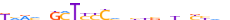 ZN790.H12INVITRO.0.P.D motif logo (ZNF790 gene, ZN790_HUMAN protein)