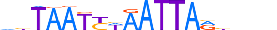 ARX.H12INVIVO.0.S.D motif logo (ARX gene, ARX_HUMAN protein)