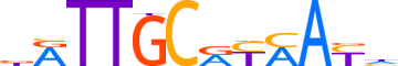 CEBPG.H12INVIVO.0.P.B motif logo (CEBPG gene, CEBPG_HUMAN protein)