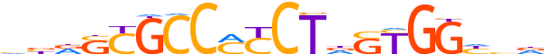 CTCF.H12INVIVO.0.P.B reverse-complement motif logo (CTCF gene, CTCF_HUMAN protein)