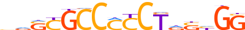 CTCFL.H12INVIVO.0.P.B reverse-complement motif logo (CTCFL gene, CTCFL_HUMAN protein)