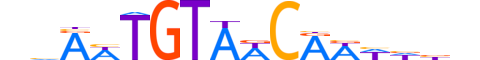 DMRTA.H12INVIVO.0.SM.D motif logo (DMRTA1 gene, DMRTA_HUMAN protein)