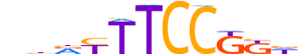 ETV2.H12INVIVO.0.S.B reverse-complement motif logo (ETV2 gene, ETV2_HUMAN protein)