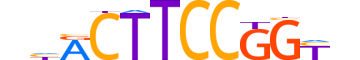 ETV4.H12INVIVO.1.SM.B reverse-complement motif logo (ETV4 gene, ETV4_HUMAN protein)