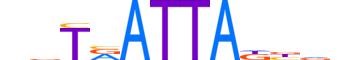 EVX1.H12INVIVO.0.SM.D reverse-complement motif logo (EVX1 gene, EVX1_HUMAN protein)