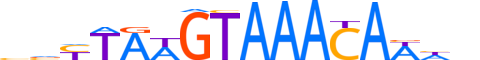 FOXA1.H12INVIVO.1.S.C reverse-complement motif logo (FOXA1 gene, FOXA1_HUMAN protein)