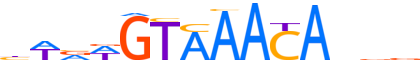 FOXA2.H12INVIVO.0.PSM.A reverse-complement motif logo (FOXA2 gene, FOXA2_HUMAN protein)