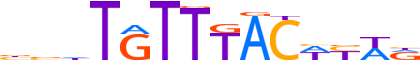 FOXA3.H12INVIVO.0.PS.A motif logo (FOXA3 gene, FOXA3_HUMAN protein)