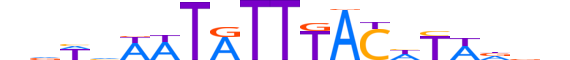 FOXC1.H12INVIVO.0.S.D motif logo (FOXC1 gene, FOXC1_HUMAN protein)