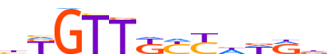 FOXJ2.H12INVIVO.0.PSM.A motif logo (FOXJ2 gene, FOXJ2_HUMAN protein)