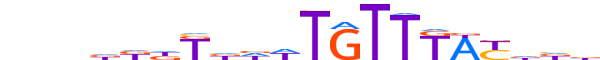 FOXJ2.H12INVIVO.2.S.B motif logo (FOXJ2 gene, FOXJ2_HUMAN protein)