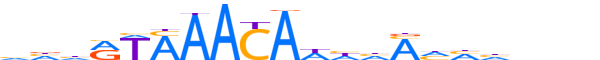 FOXJ2.H12INVIVO.2.S.B reverse-complement motif logo (FOXJ2 gene, FOXJ2_HUMAN protein)