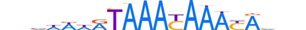 FOXL1.H12INVIVO.0.S.D reverse-complement motif logo (FOXL1 gene, FOXL1_HUMAN protein)