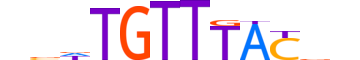 FOXO6.H12INVIVO.0.S.D motif logo (FOXO6 gene, FOXO6_HUMAN protein)