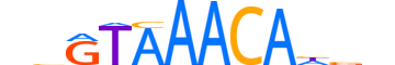 FOXO6.H12INVIVO.0.S.D reverse-complement motif logo (FOXO6 gene, FOXO6_HUMAN protein)