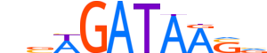 GATA1.H12INVIVO.1.PSM.A motif logo (GATA1 gene, GATA1_HUMAN protein)