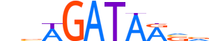 GATA2.H12INVIVO.0.PSM.A motif logo (GATA2 gene, GATA2_HUMAN protein)