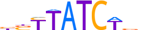 GATA2.H12INVIVO.0.PSM.A reverse-complement motif logo (GATA2 gene, GATA2_HUMAN protein)