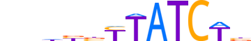 GATA3.H12INVIVO.0.PS.A reverse-complement motif logo (GATA3 gene, GATA3_HUMAN protein)