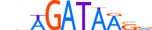 GATA4.H12INVIVO.0.PSM.A motif logo (GATA4 gene, GATA4_HUMAN protein)