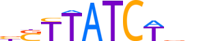 GATA4.H12INVIVO.0.PSM.A reverse-complement motif logo (GATA4 gene, GATA4_HUMAN protein)