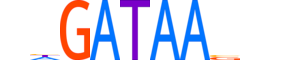 GATA5.H12INVIVO.0.SM.D motif logo (GATA5 gene, GATA5_HUMAN protein)