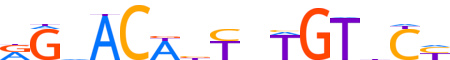 GCR.H12INVIVO.0.PS.A reverse-complement motif logo (NR3C1 gene, GCR_HUMAN protein)