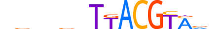 GMEB1.H12INVIVO.2.SM.B reverse-complement motif logo (GMEB1 gene, GMEB1_HUMAN protein)