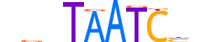 GSC.H12INVIVO.0.SM.D reverse-complement motif logo (GSC gene, GSC_HUMAN protein)