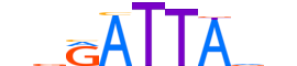 GSC2.H12INVIVO.0.SM.D motif logo (GSC2 gene, GSC2_HUMAN protein)