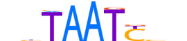 GSC2.H12INVIVO.0.SM.D reverse-complement motif logo (GSC2 gene, GSC2_HUMAN protein)