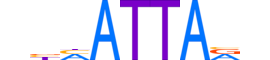 GSX1.H12INVIVO.0.SM.D reverse-complement motif logo (GSX1 gene, GSX1_HUMAN protein)