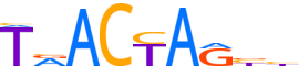 HMBX1.H12INVIVO.0.PSM.A reverse-complement motif logo (HMBOX1 gene, HMBX1_HUMAN protein)