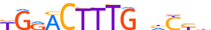 HNF4A.H12INVIVO.0.PSM.A reverse-complement motif logo (HNF4A gene, HNF4A_HUMAN protein)